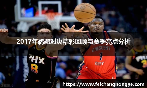 2017年鹈鹕对决精彩回顾与赛季亮点分析